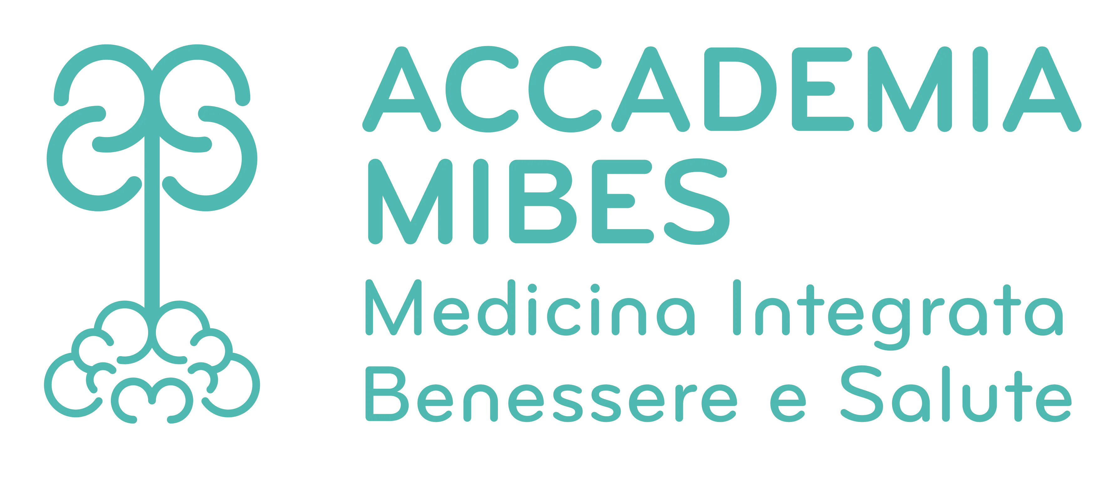 Parner Accademia Mibes